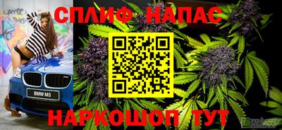твердый Будённовск